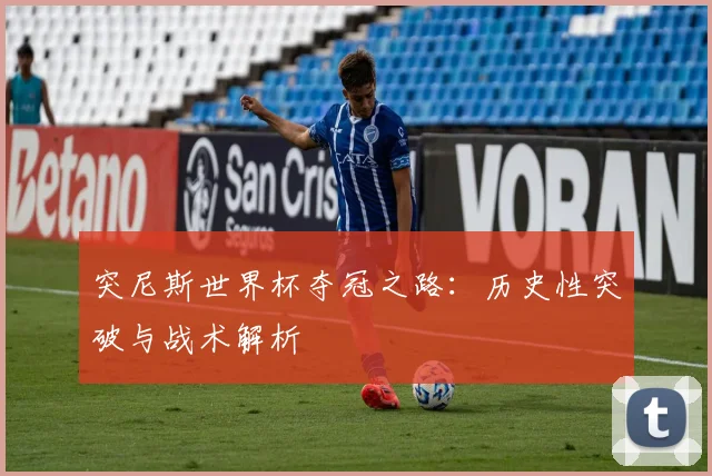 突尼斯世界杯夺冠之路:历史性突破与战术解析