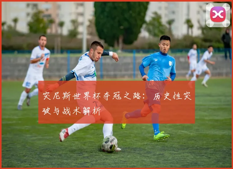 突尼斯世界杯夺冠之路:历史性突破与战术解析