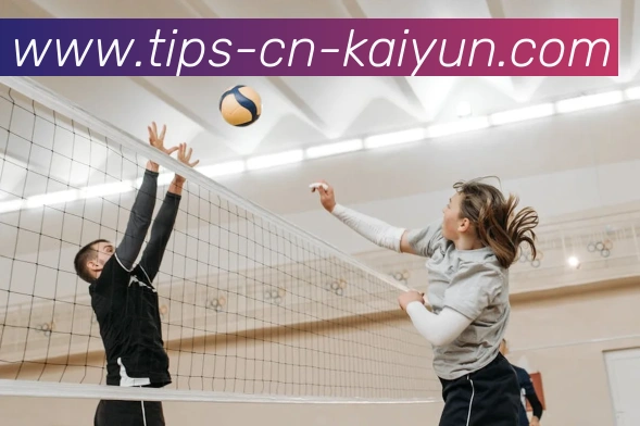 多媒体互动体验