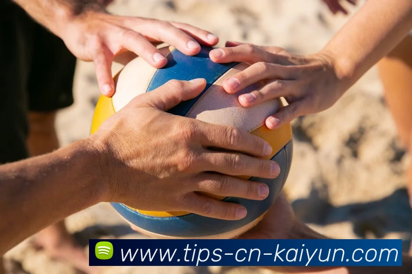 开云APP 高清赛事图